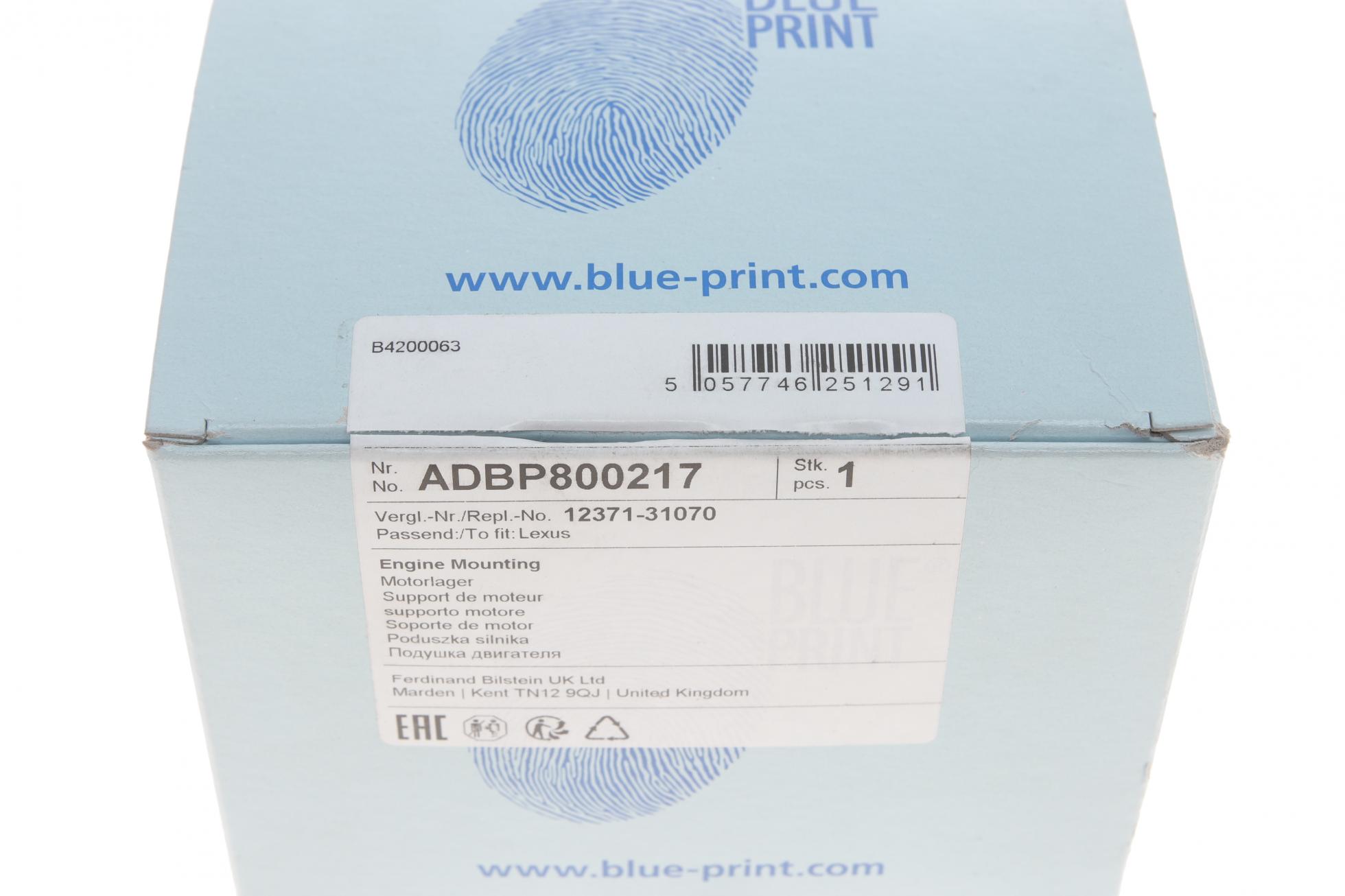 ADBP800217 BLUE PRINT